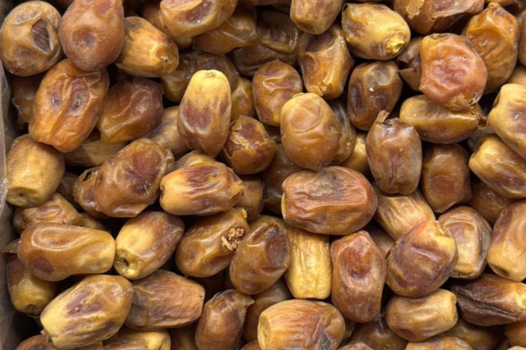 BAĞDAT HURMA