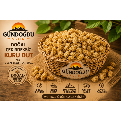 Doğal Çekirdeksiz Kuru Dut