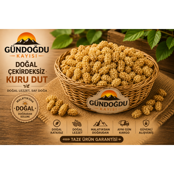 Doğal Çekirdeksiz Kuru Dut