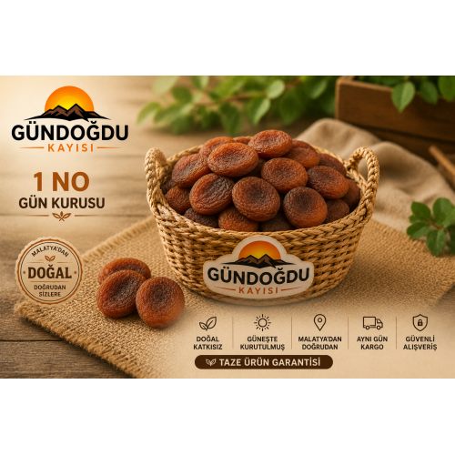 Gün Kurusu Kayısı 1 Numara