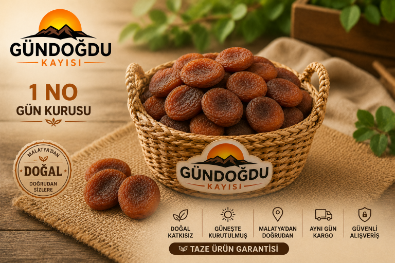 Gün Kurusu Kayısı 1 Numara